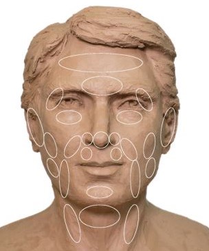 Head sculpting by age and sex characteristics