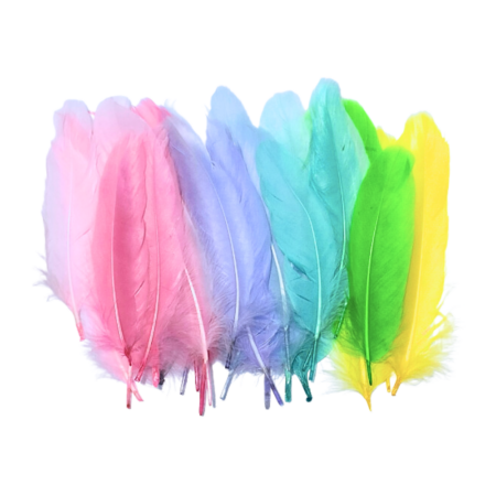 Colored feathers for creation