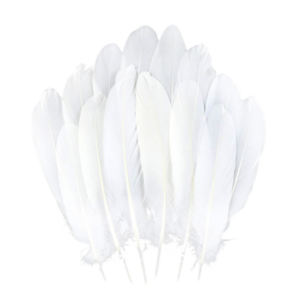White feathers for creation